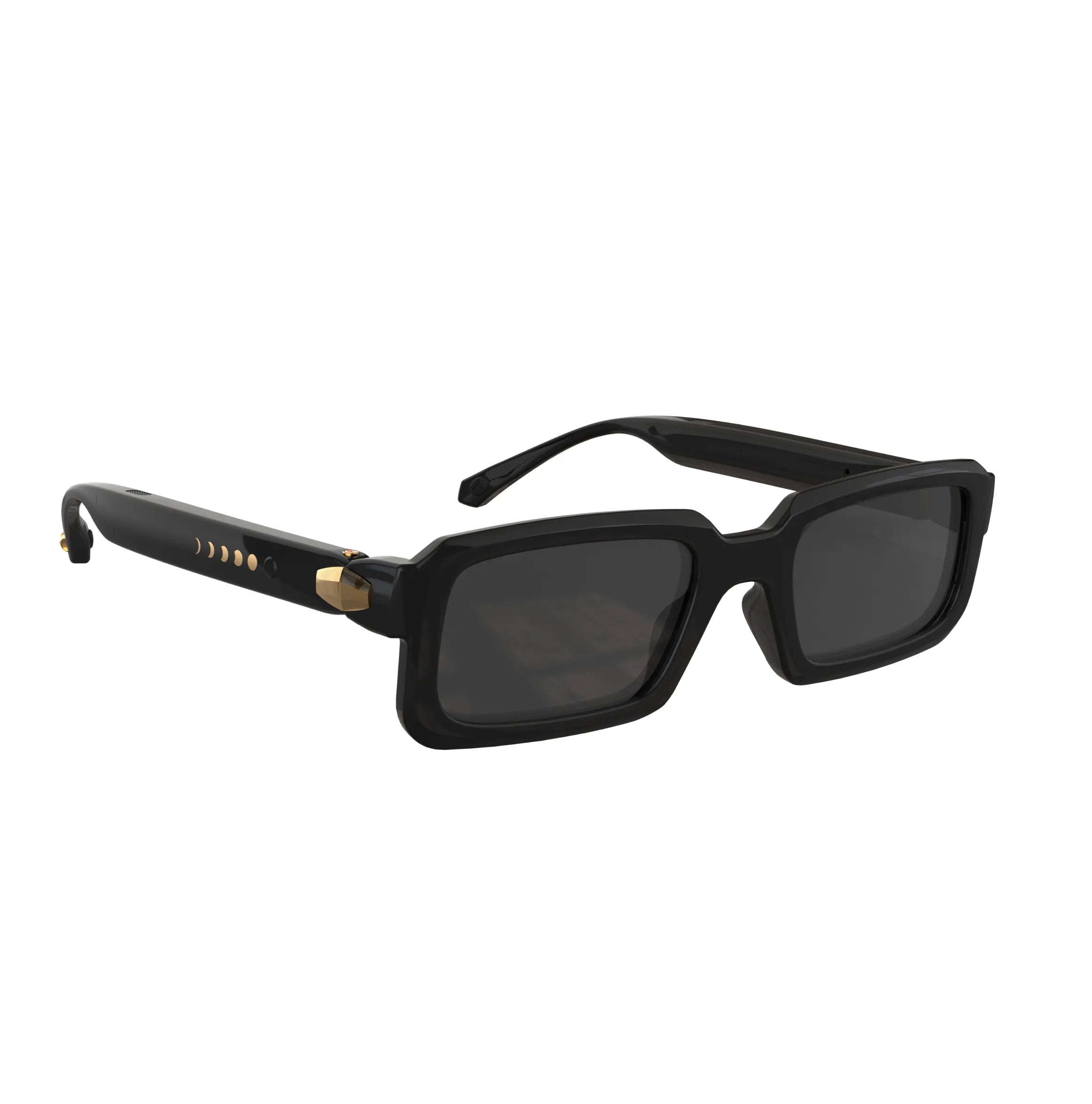 Lion City premium lifestyle sunglasses